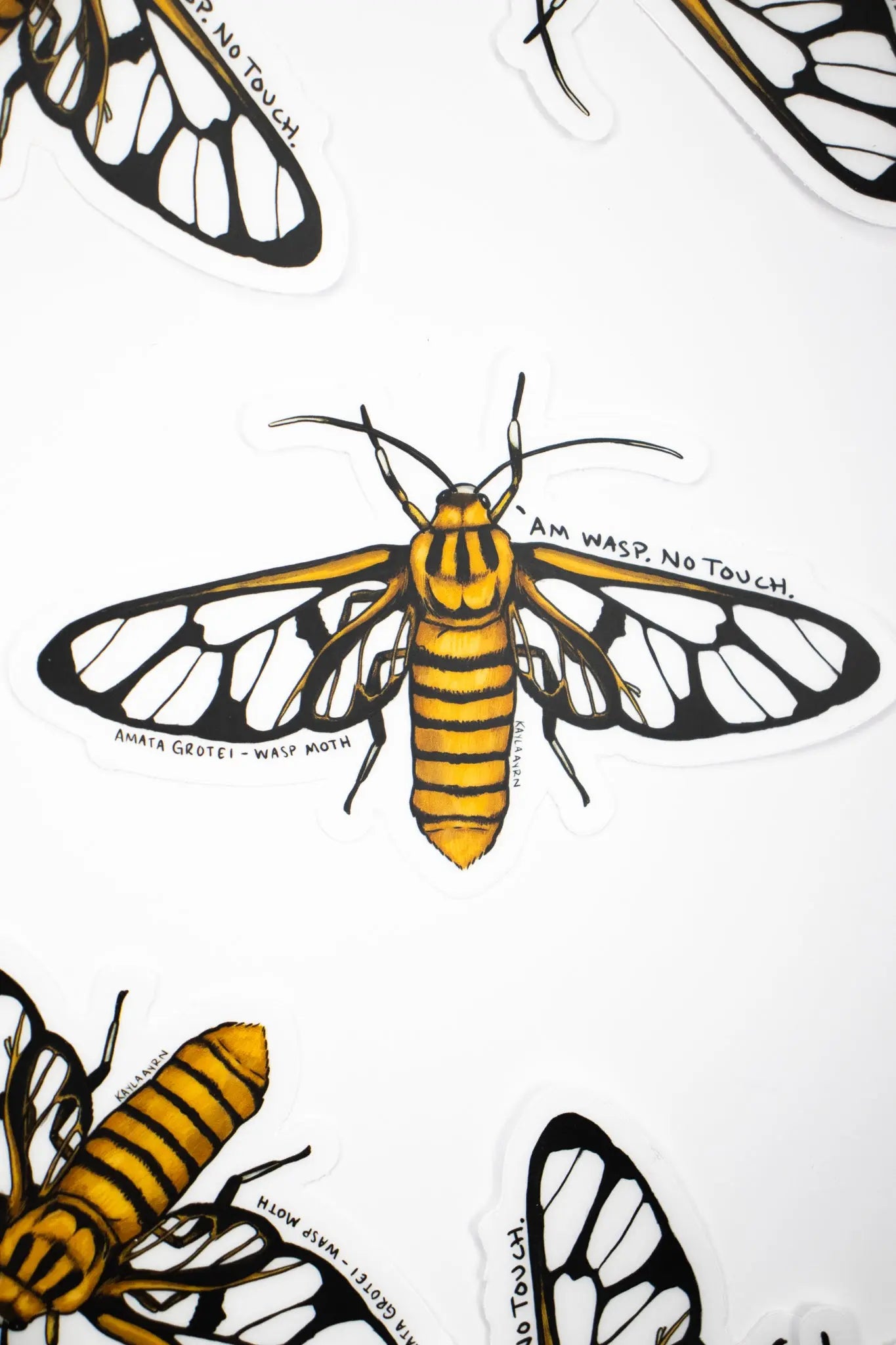 Wasp Moth Translucent Sticker - THE STEMCELL SCIENCE SHOP
