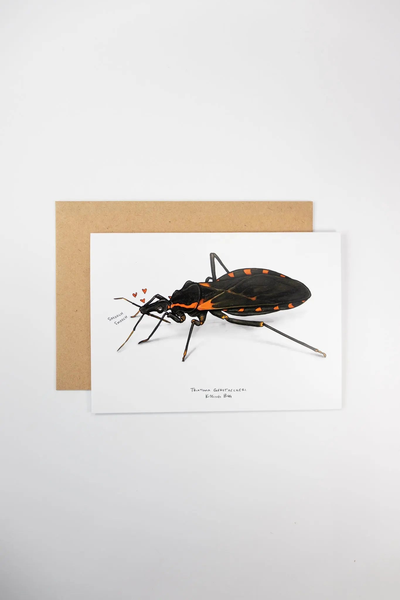 Kissing Bug Greetings Card - THE STEMCELL SCIENCE SHOP