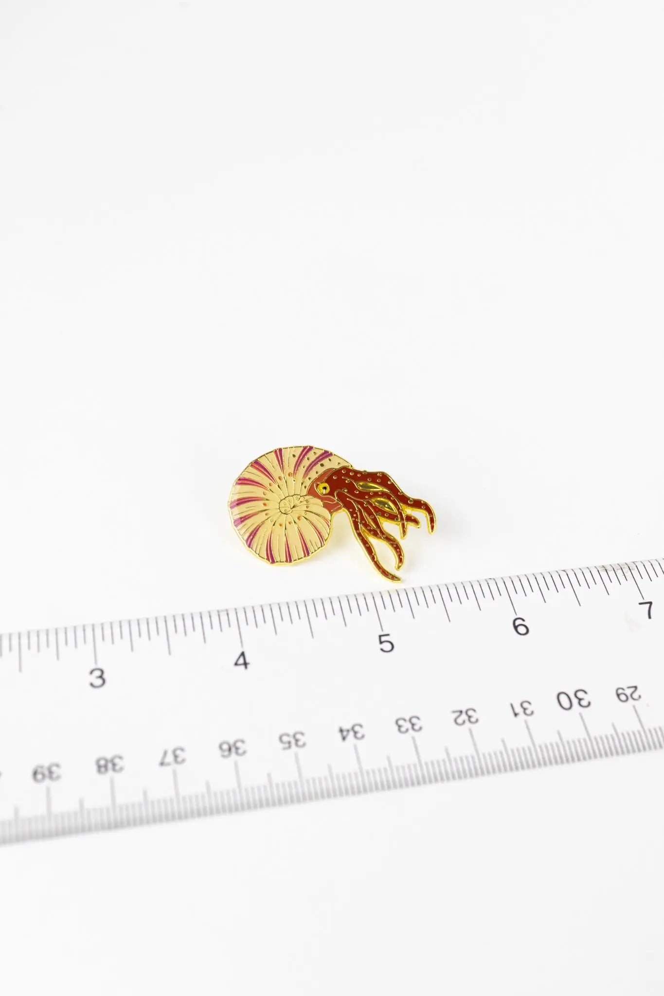 Ammonite Pin