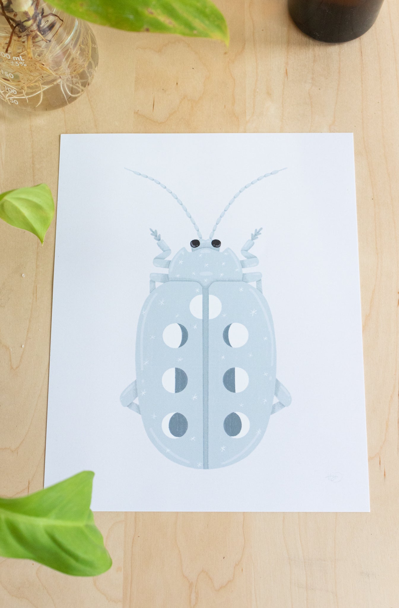 Lunar Phase Beetle Print