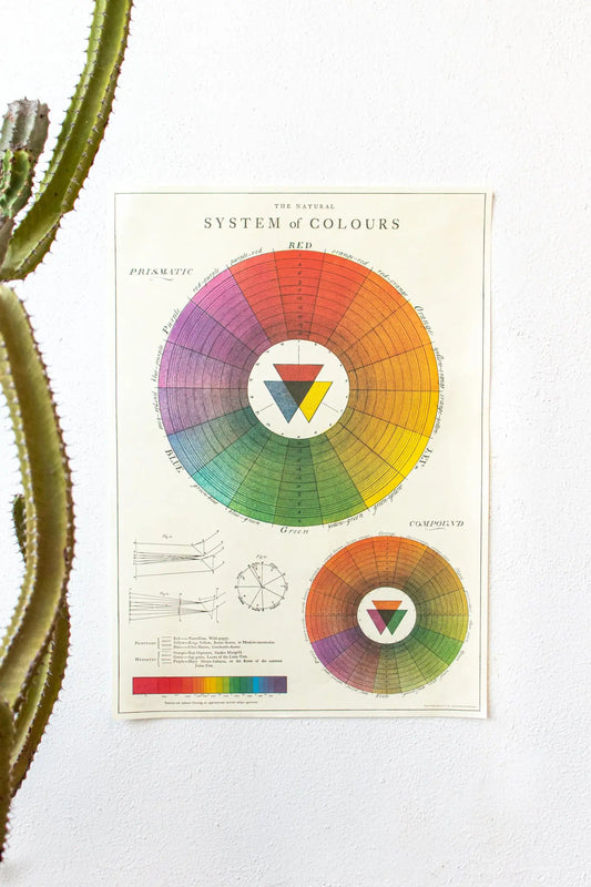 The System of Colors Scientific Chart