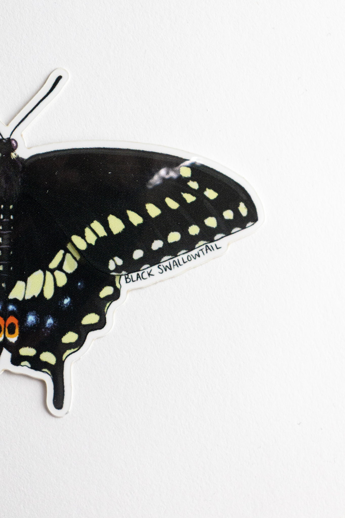Black Swallowtail Sticker