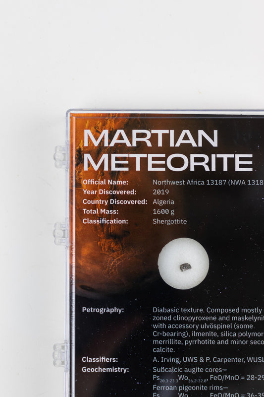 Martian Meteorite NWA13187