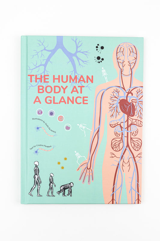The Human Body At a Glance